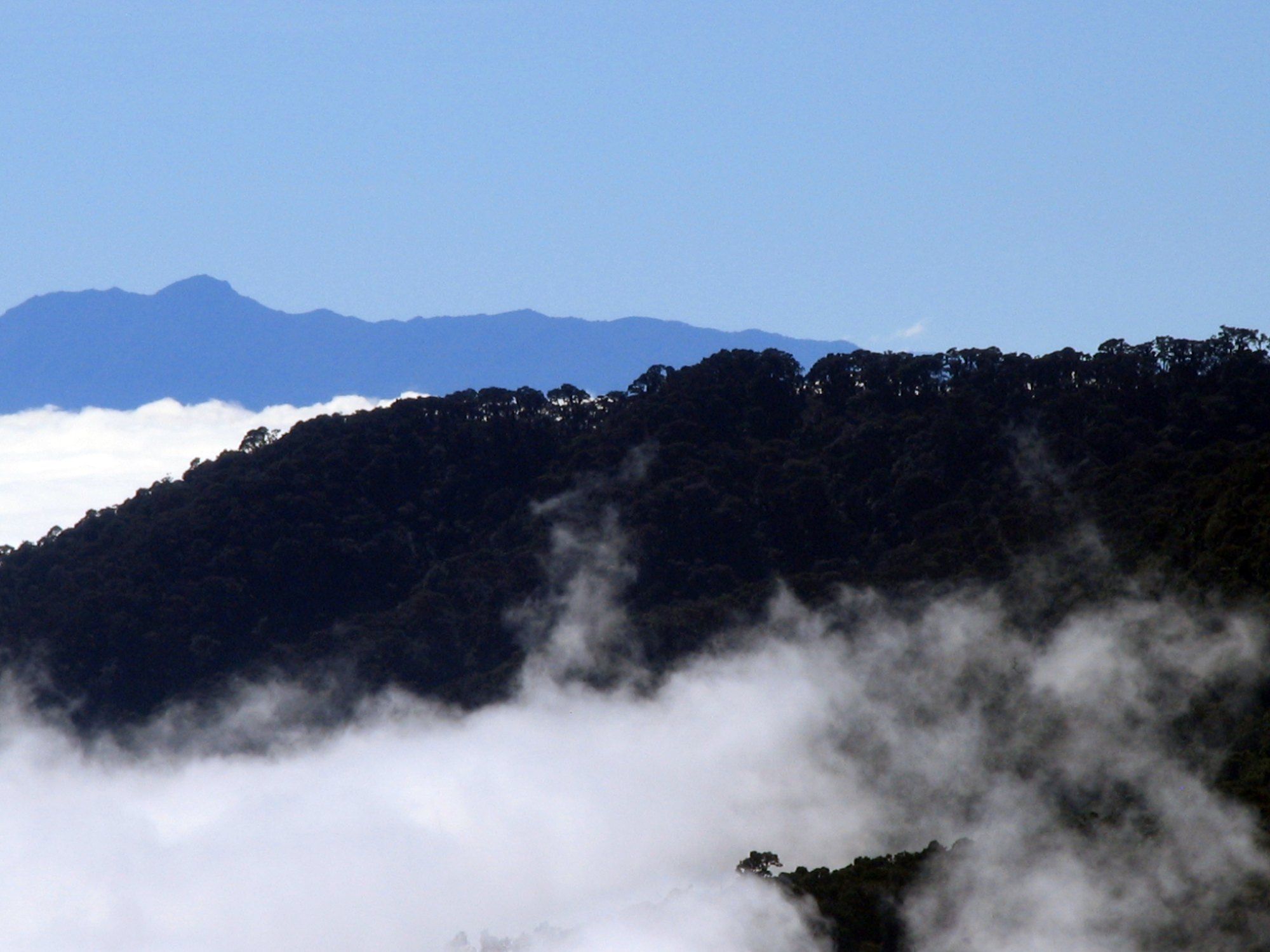 Cordillera con nubes bajas en el Parque Internacional La Amistad