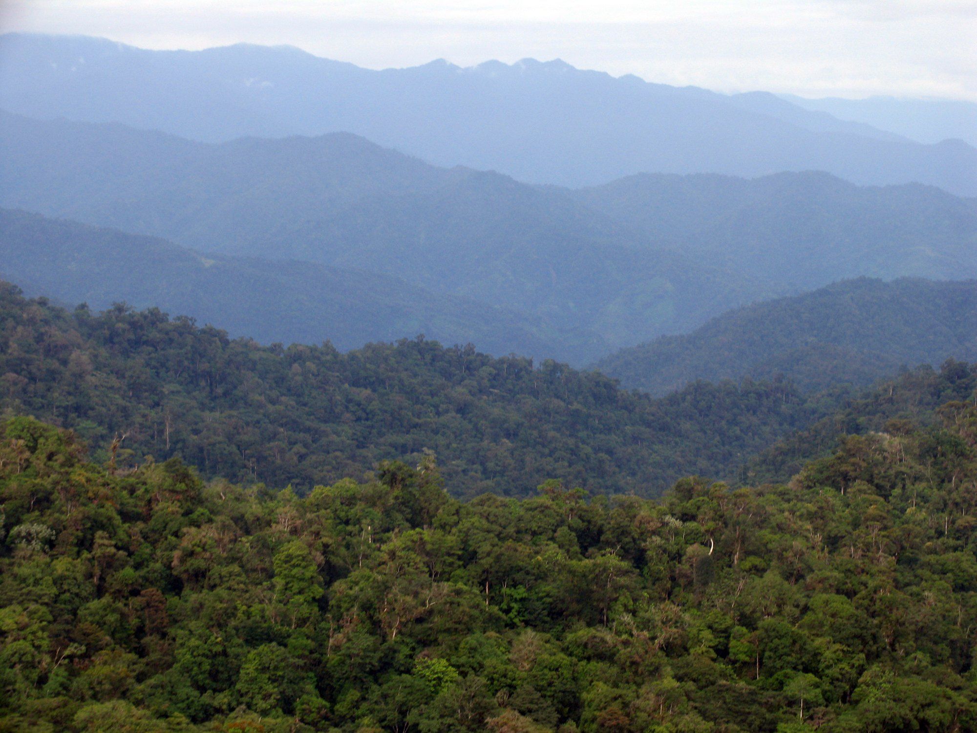 Montañas en capas sobre el bosque del Parque Internacional La Amistad